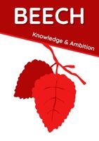 Beech